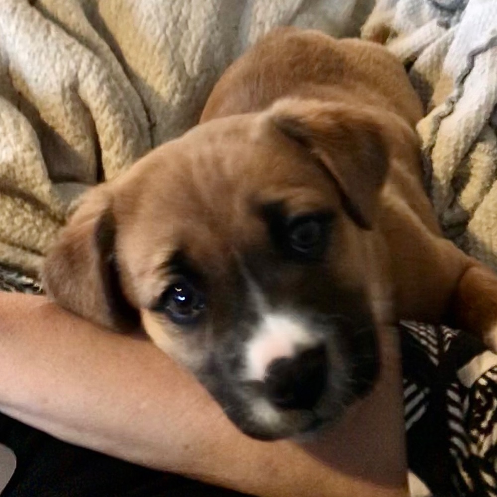 Meet your Posher, Leane